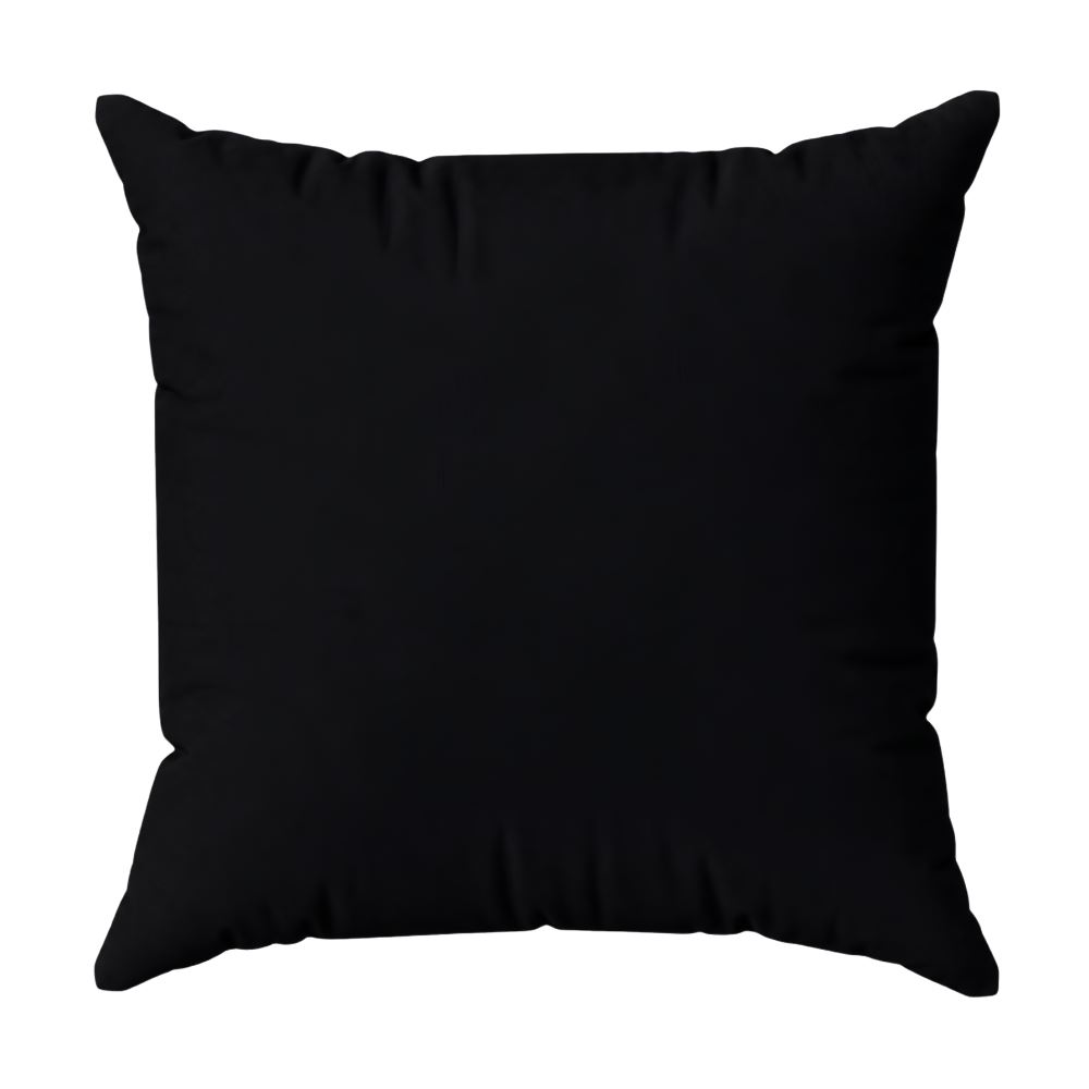 Almofada Decorativa 50X50cm Veludo Italiano Liso Havan Casa - Preto