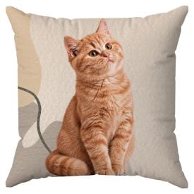 Almofada Decorativa 43X43cm Pets Havan Casa - Gato Geo