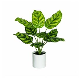 Arranjo de Plantas Real Toque com Vaso Florarte 42Cm - Sortido