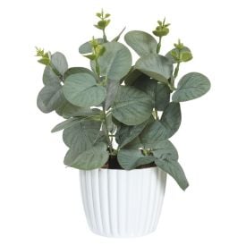 Arranjo De Flor Eucalipto 24X25cm - Florarte
