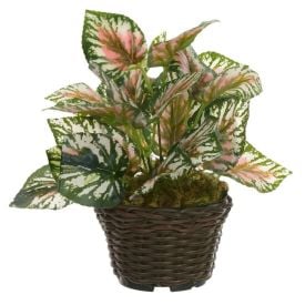 Arranjo Folhagens Florarte 22Cm - Sortido