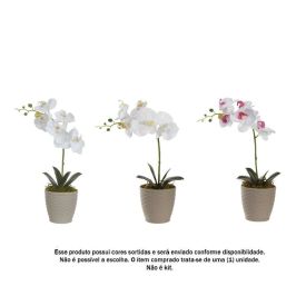 Arranjo Orquidea Florarte 37Cm - Sortidos