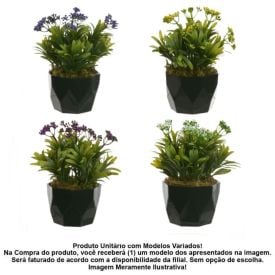 Arranjo Podocarpos Sementes Florarte 24Cm - Sortido