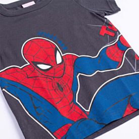 Camiseta Infantil Menino 1 a 3 Anos Homem-Aranha Chumbo