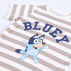 Camiseta Infantil Menino 1 a 4 Anos Bluey Ceramica