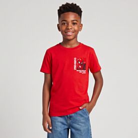 Camiseta Infantil Menino 12 a 16 Anos Homem-Aranha Vermelho Ruby