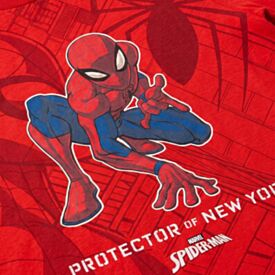 Camiseta Infantil Menino 4 a 10 Anos Homem-Aranha Vermelho Ruby