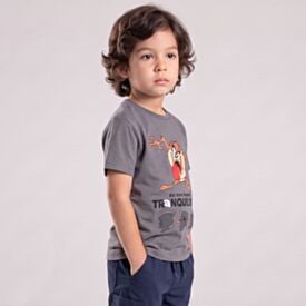 Camiseta Infantil Menino Looney Tunes 4 a 10 Anos Cinza