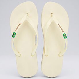 Chinelo Ipanema Feminino Anatômica Brasil