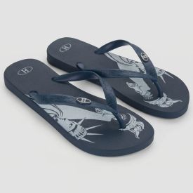 Chinelo Ipanema Unissex Havan