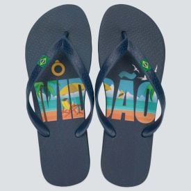 Chinelo Ipanema Unissex Havan