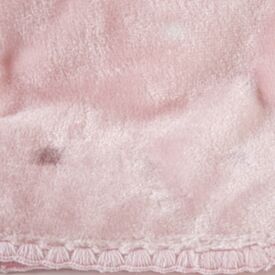 Cobertor para Bebê 100% Poliéster Rachel Havan Baby - Teddy Rosa