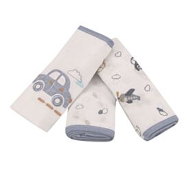 Fralda Estampada com 3 Peças Havan Baby - Carros