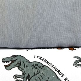 Jogo de Cama Solteiro Kids Malha Solecasa by Havan Kids 2 pçs - Dinos