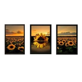 Jogo de Quadros Decorativos 28Cm 3 Peças Fx Quadros - Girassol
