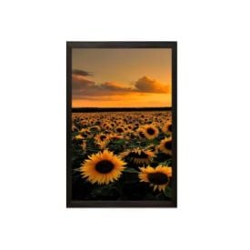 Jogo de Quadros Decorativos 28Cm 3 Peças Fx Quadros - Girassol