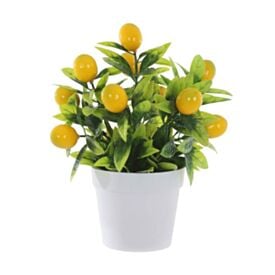 Arranjo Limão Amarelo com Vaso Plástico Florarte 20Cm