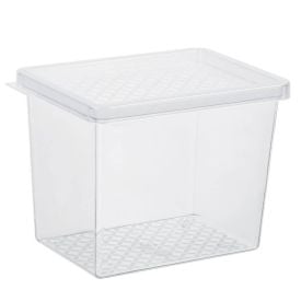 Organizador Multiuso Com Tampa Uz 2,9 Litros - Transparente