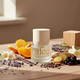 Perfume Feminino Vanilla & Lavender Etleé - 30ml