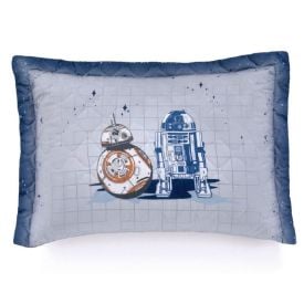 Porta Travesseiro Infantil Estampado Disney Hedrons - Galáxia SW