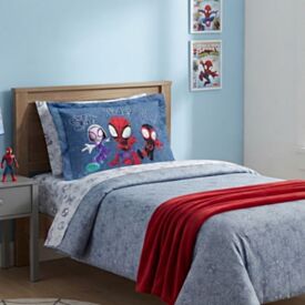 Porta Travesseiro Infantil Estampado Disney Hedrons - Spidey Time