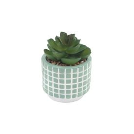 Suculenta Artificial Com Vaso De Cimento Havan Casa 9,8 Cm - Sortido
