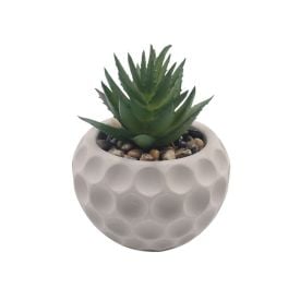 Suculenta Artificial Vaso de Cimento Havan Casa 10,5Cm - Sortido