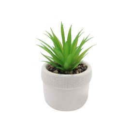 Suculenta Artificial Vaso de Cimento Havan Casa 17,5Cm - Sortido