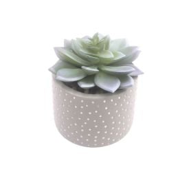 Suculenta Com Vaso 12,5Cm Havan Casa - Cinza