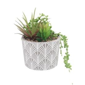 Suculenta Com Vaso De Cimento 15,8Cm - Havan Casa