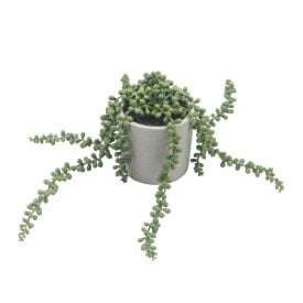 Suculenta Com Vaso De Cimento 15Cm - Havan Casa