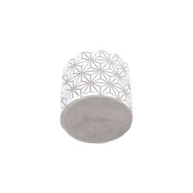 Suculenta com Vaso de Cimento Havan Casa 10,4Cm - Sortido