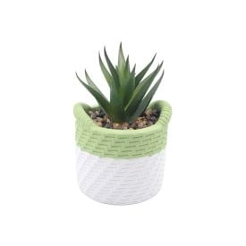 Suculenta com Vaso de Cimento Havan Casa 10,5Cm - Sortido