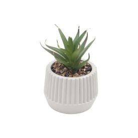 Suculenta com Vaso de Cimento Havan Casa 9Cm - Sortido