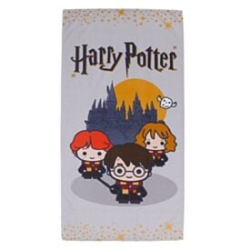 Toalha de Praia Harry Potter Infantil Lepper - Amigos