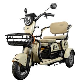 Triciclo Elétrico Wehawk Mult 3 Wx-T03 800W 48V 20Ah - Cappuccino