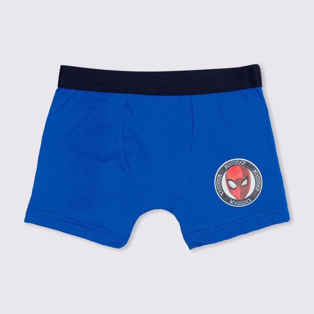 Meninos de cueca na praia
