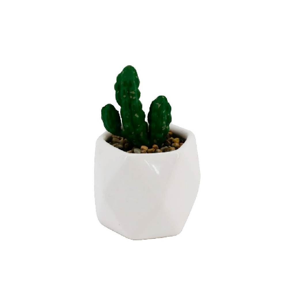 Marca de roupa cheap cactus