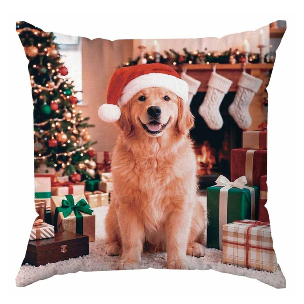 Almofada de Veludo 48X48cm Natal Havan Casa - Golden
