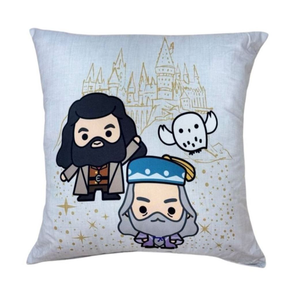 Almofada Decorativa Harry Potter 43X43 cm Hedrons - Amigos
