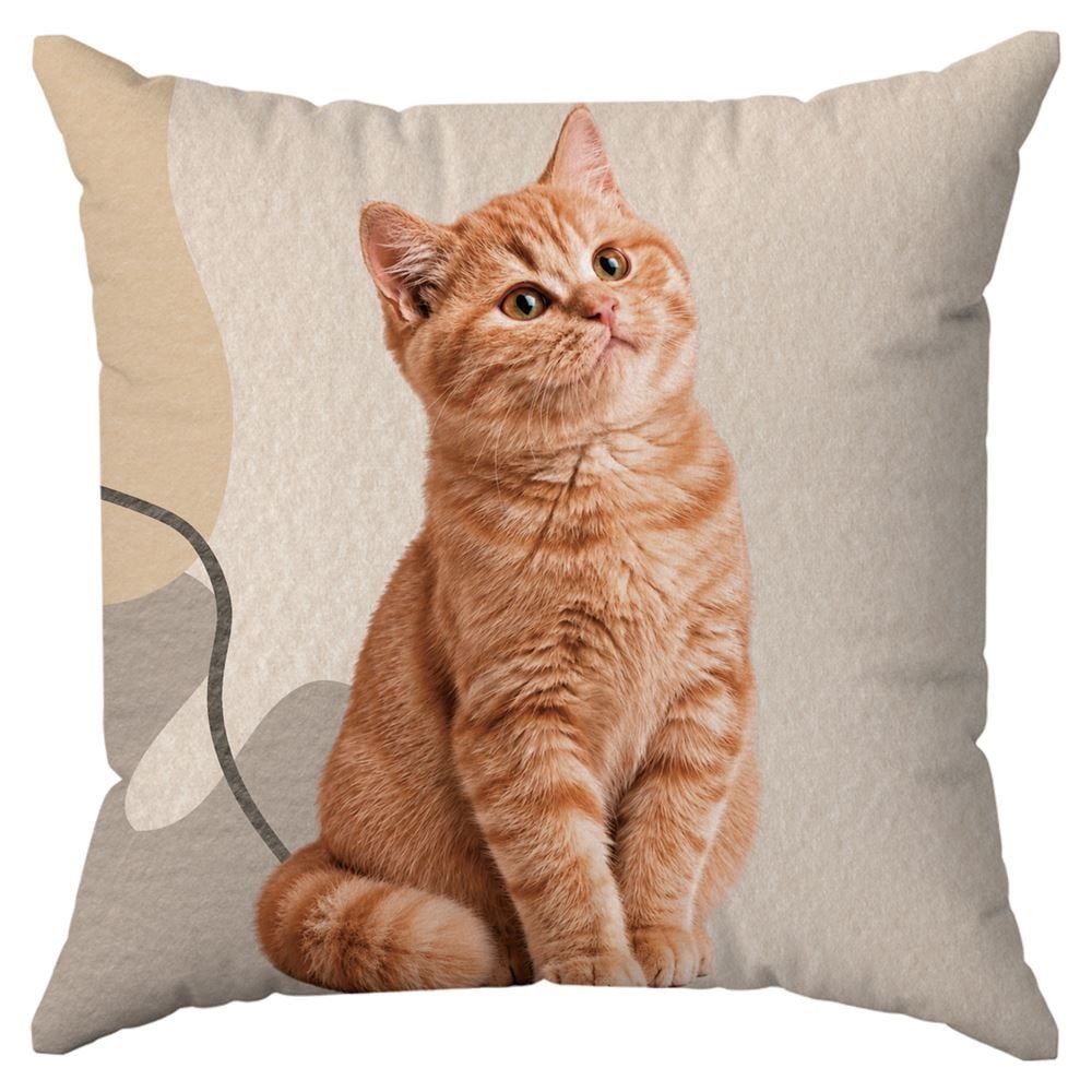 Almofada Decorativa 43X43cm Pets Havan Casa - Gato Geo