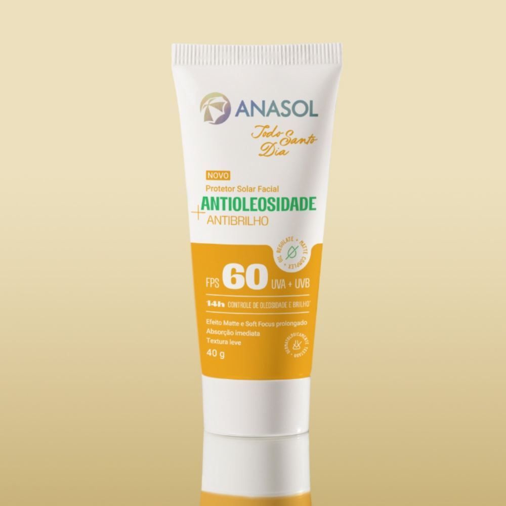 Protetor Solar Todo Santo Dia Antibrilho Fps 60 40G Anasol