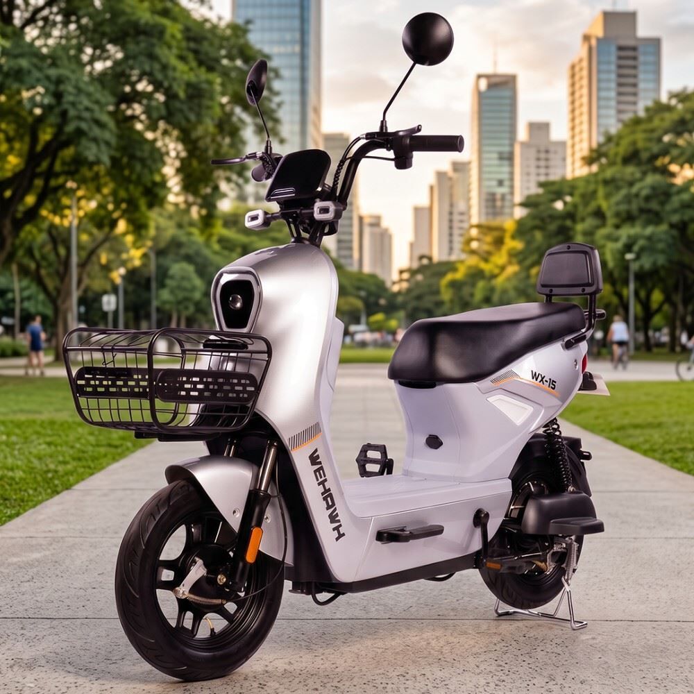 Bicicleta Elétrica Wx-15 Wehawk 800W Bateria Lítio 48V 20Ah - Prata