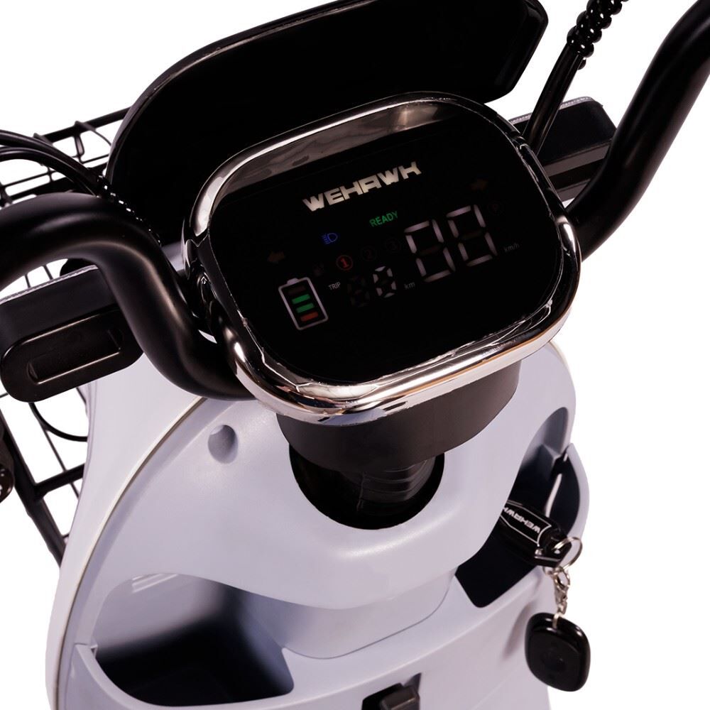 Bicicleta Elétrica Wx-15 Wehawk 800W Bateria Lítio 48V 20Ah - Prata