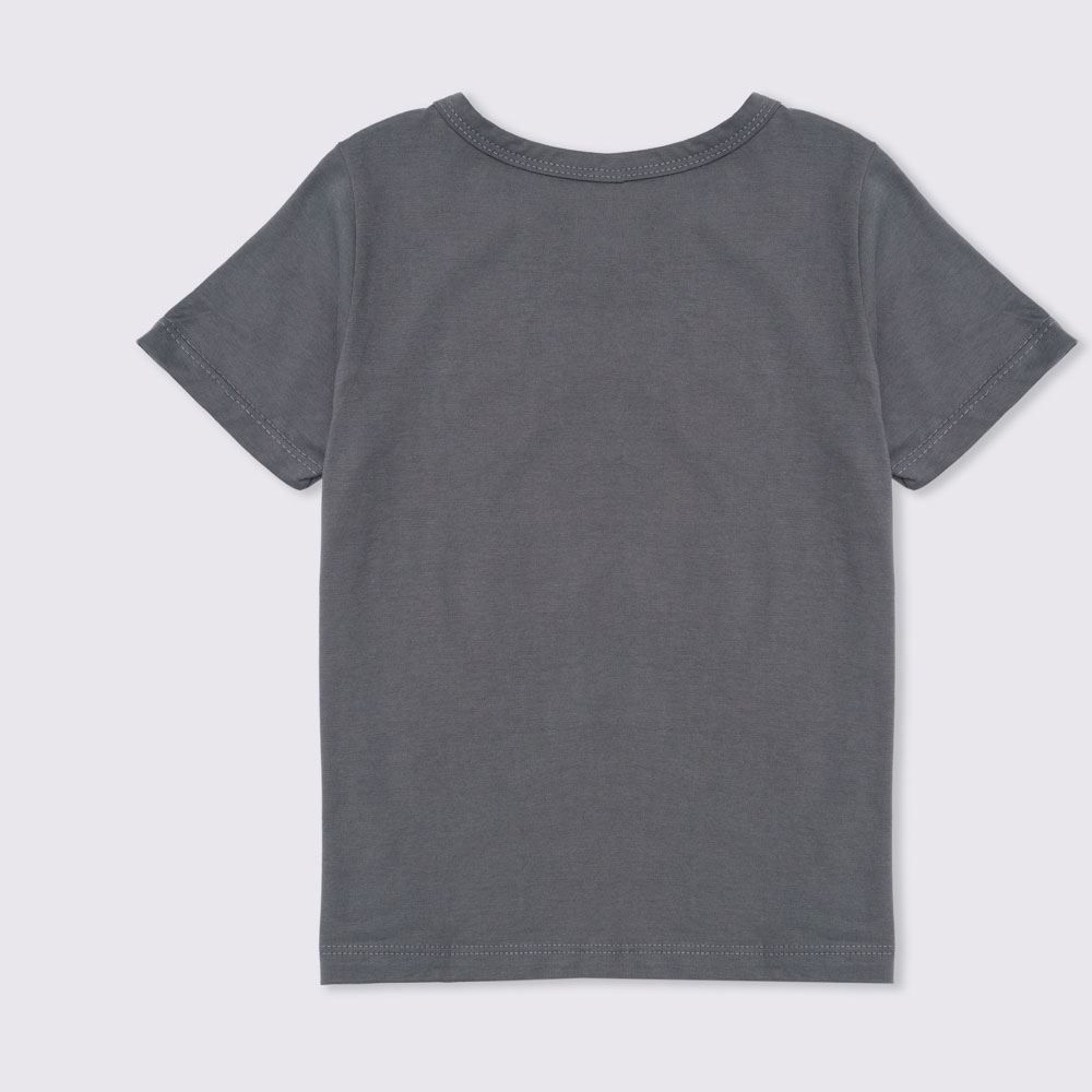 Camiseta 4 a 10 anos Malha Taz Bandup