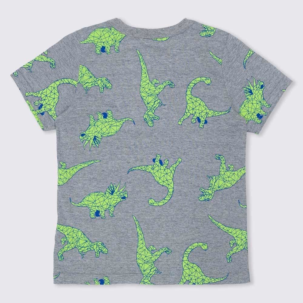 Camiseta 4 a 10 anos Meia Malha Dinos Hot Dog
