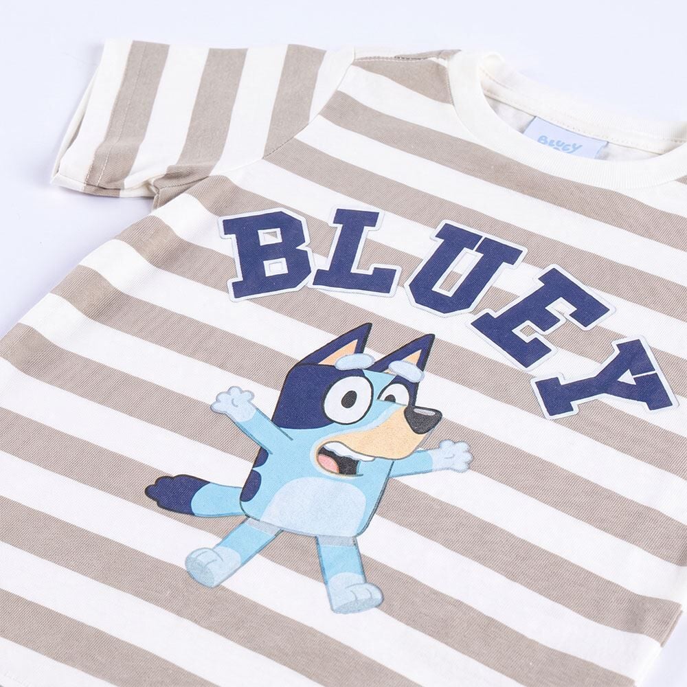 Camiseta Infantil Menino 1 a 4 Anos Bluey