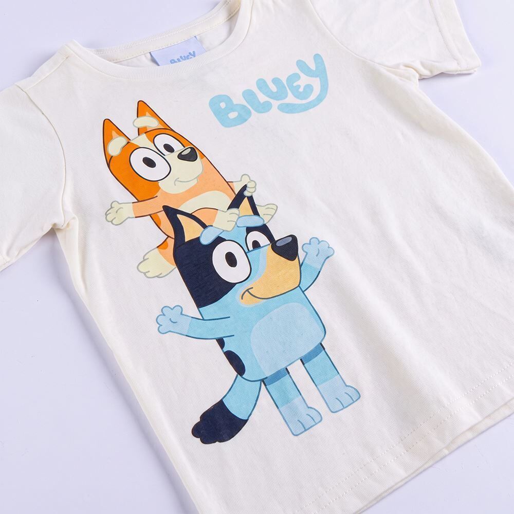 Camiseta Infantil Menino 1 a 4 Anos Bluey 