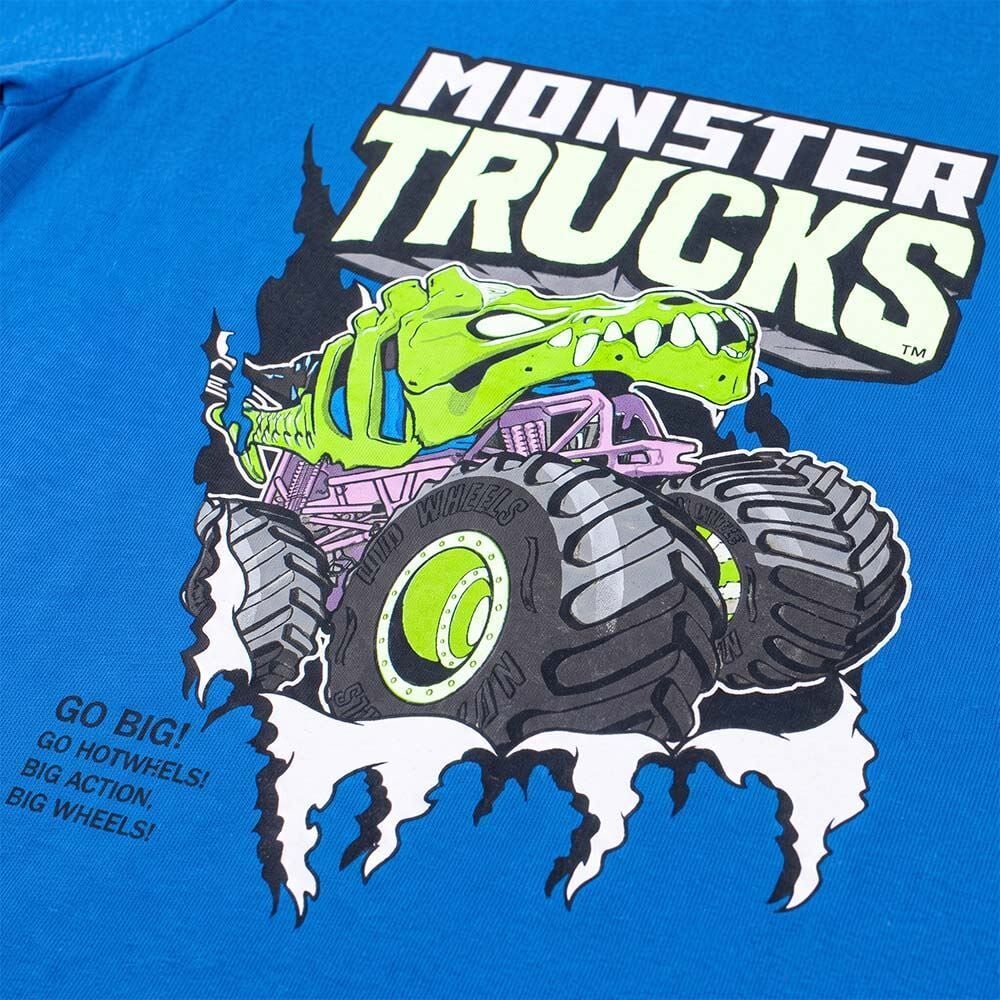 Camiseta Infantil Menino 4 a 10 Anos Hot Wheels