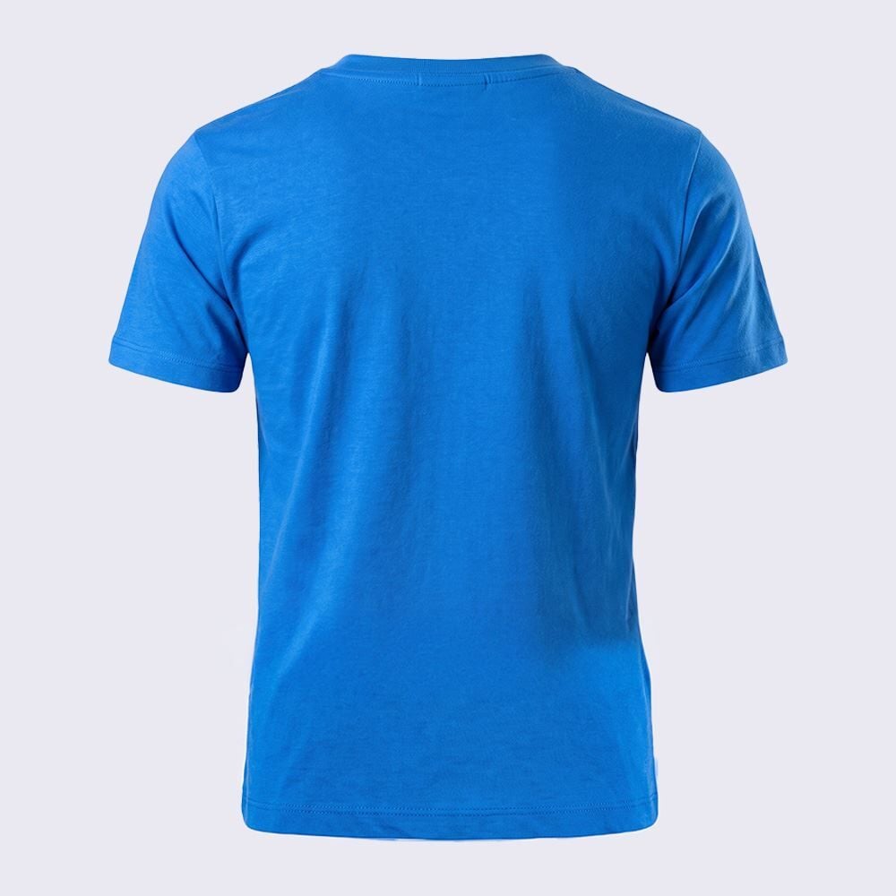 Camiseta Infantil Menino 4 a 10 Anos Hot Wheels